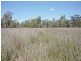 Villacoola L1 Carnarvon Highway, Surat QLD 4417