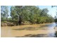 Villacoola L1 Carnarvon Highway, Surat QLD 4417