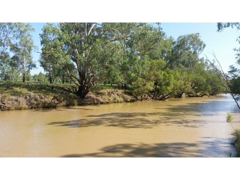 Villacoola L1 Carnarvon Highway, Surat QLD 4417