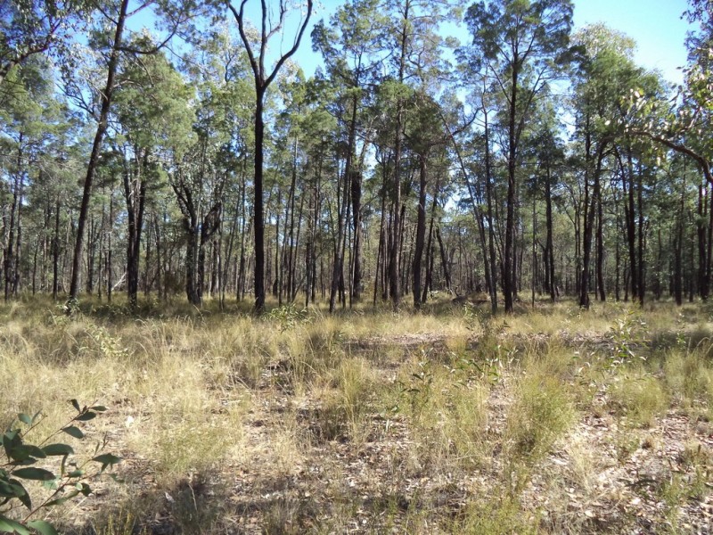 37752 Leichhardt Highway- Dalwogan, Miles QLD 4415