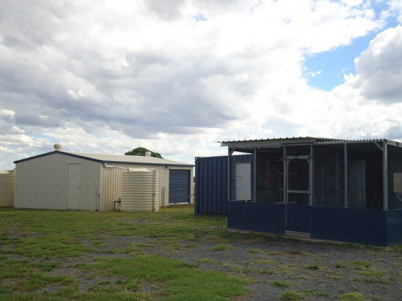 309 Gazzard Road, Tara QLD 4421