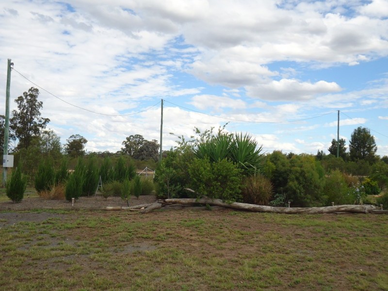 309 Gazzard Road, Tara QLD 4421