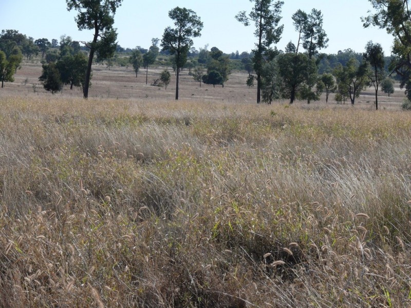 ” Cooba”, Glenmorgan QLD 4423