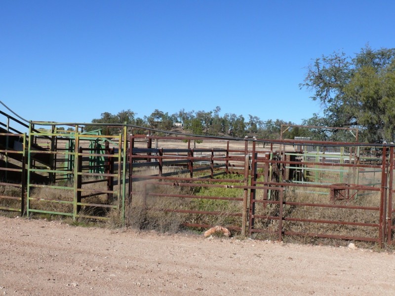 ” Cooba”, Glenmorgan QLD 4423