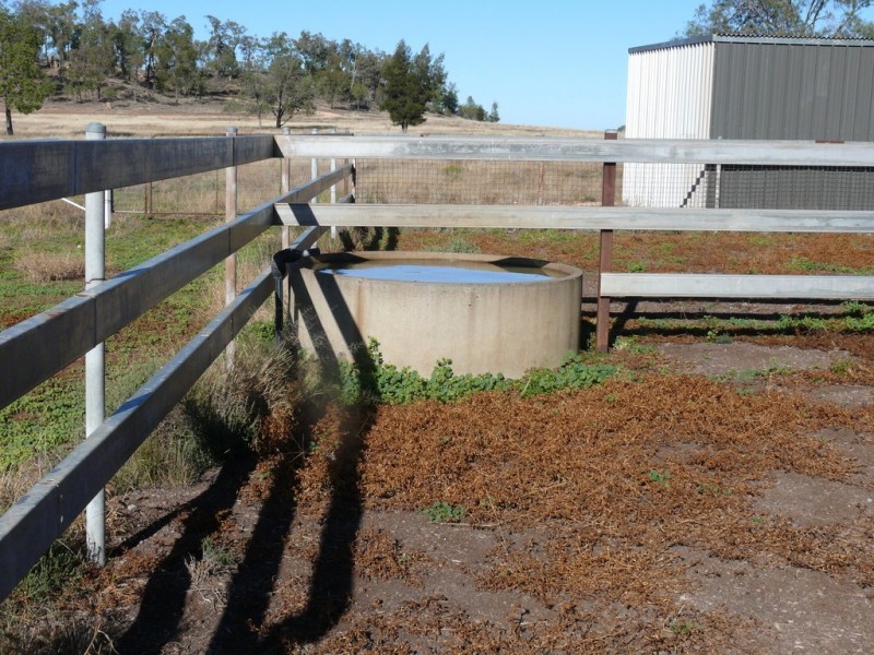 ” Cooba”, Glenmorgan QLD 4423