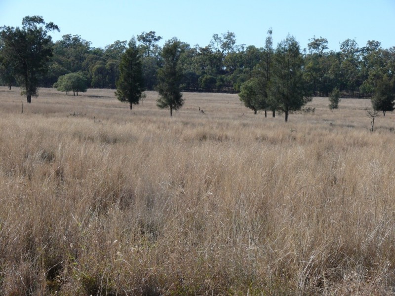 ” Cooba”, Glenmorgan QLD 4423