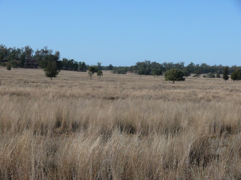 ” Cooba”, Glenmorgan QLD 4423