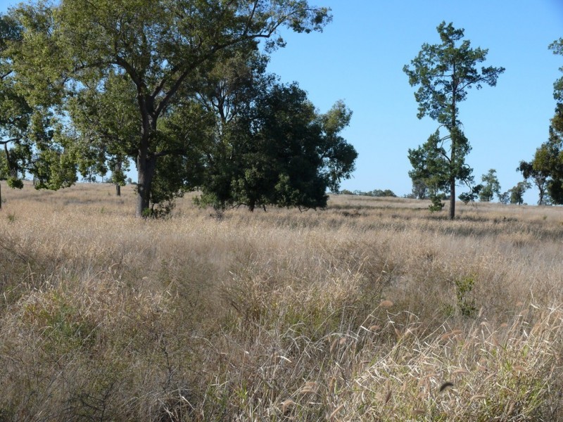 ” Cooba”, Glenmorgan QLD 4423