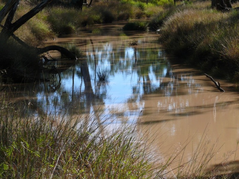 ” Cooba”, Glenmorgan QLD 4423