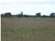” WEIR RIVER “, Moonie QLD 4406