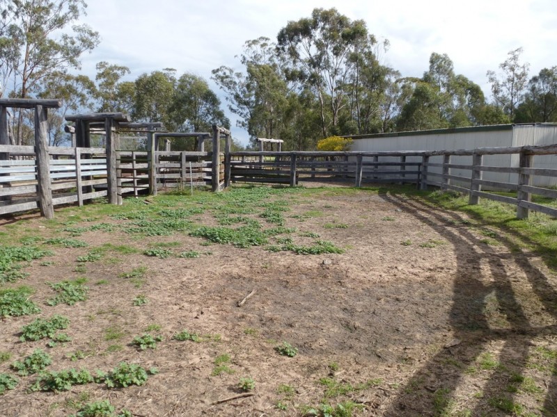 ” WEIR RIVER “, Moonie QLD 4406
