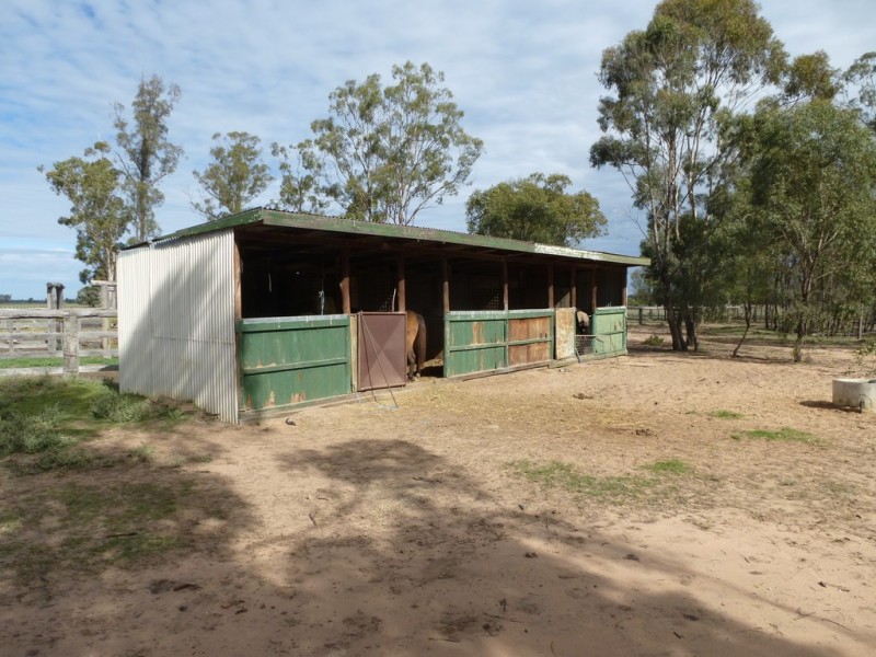 ” WEIR RIVER “, Moonie QLD 4406