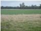 ” WEIR RIVER “, Moonie QLD 4406