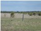 ” WEIR RIVER “, Moonie QLD 4406