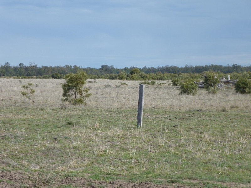 ” WEIR RIVER “, Moonie QLD 4406