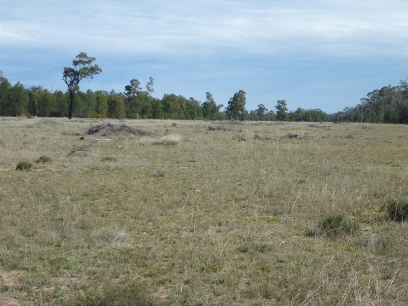 ” WEIR RIVER “, Moonie QLD 4406