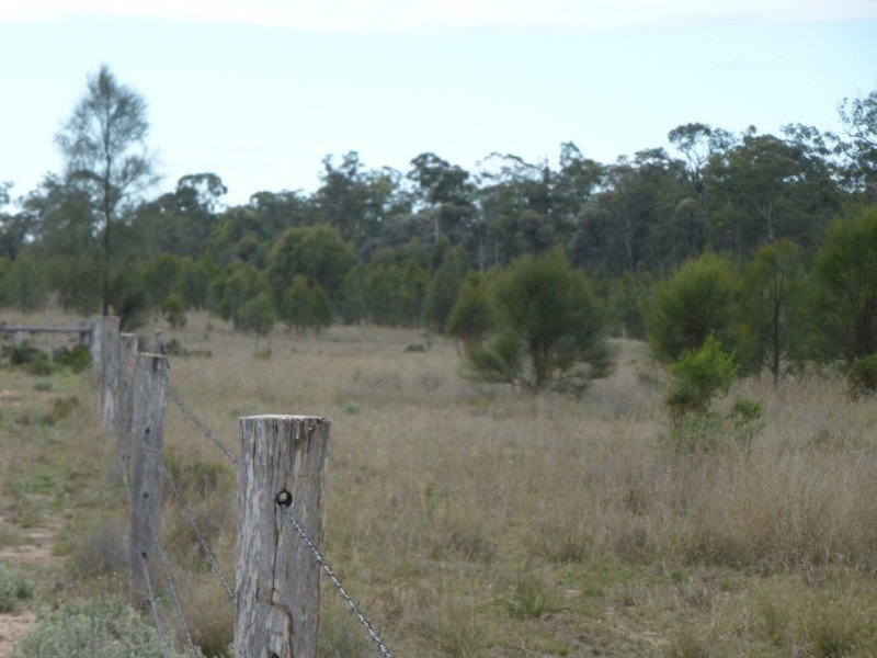 ” WEIR RIVER “, Moonie QLD 4406