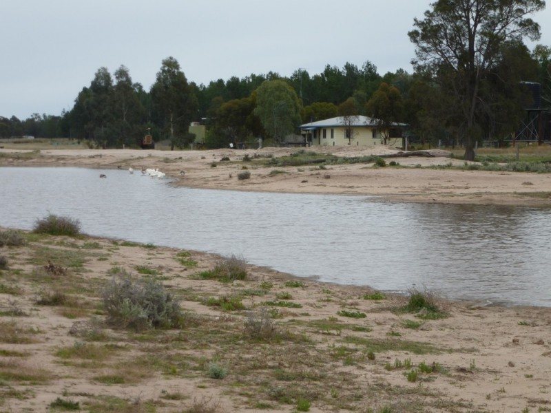 ” WEIR RIVER “, Moonie QLD 4406