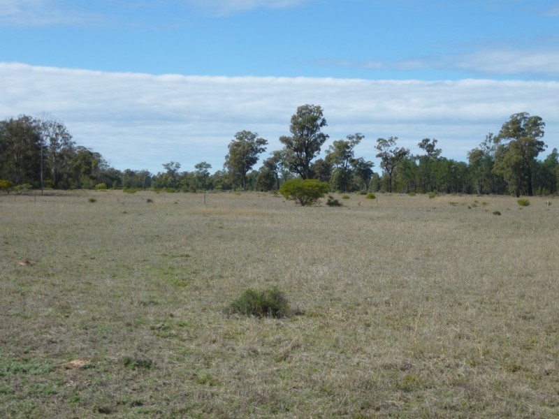 ” WEIR RIVER “, Moonie QLD 4406