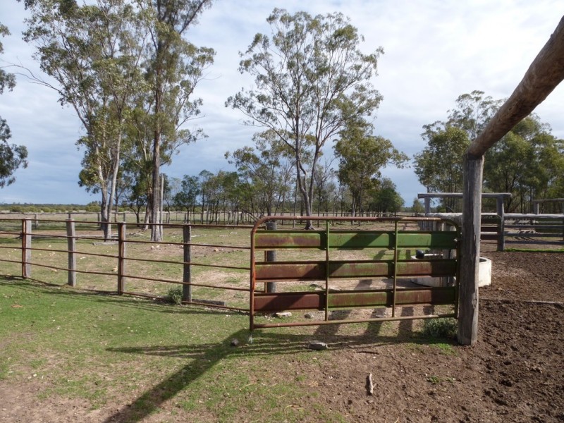 ” WEIR RIVER “, Moonie QLD 4406