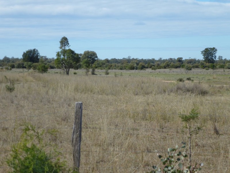 ” WEIR RIVER “, Moonie QLD 4406