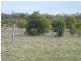 ” WEIR RIVER “, Moonie QLD 4406