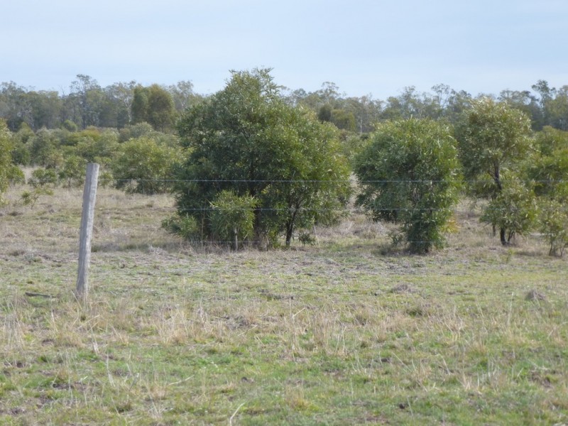 ” WEIR RIVER “, Moonie QLD 4406