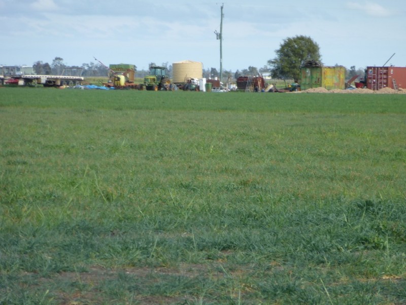 ” Bonview “, Dalby QLD 4405