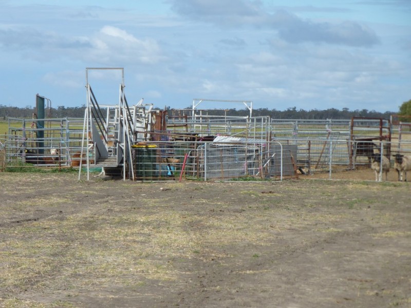 ” Bonview “, Dalby QLD 4405