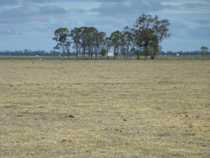 ” Bonview “, Dalby QLD 4405