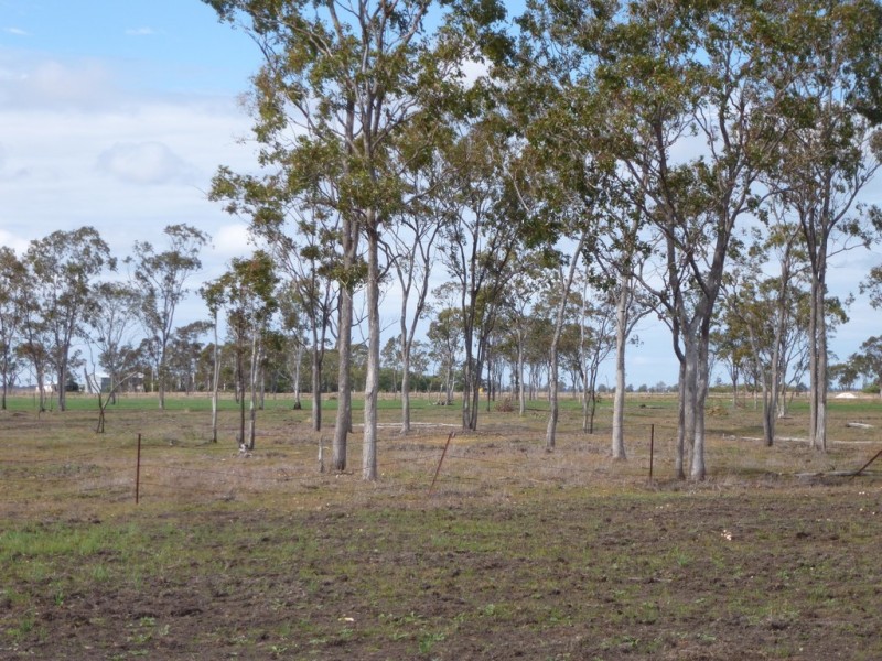 ” Bonview “, Dalby QLD 4405