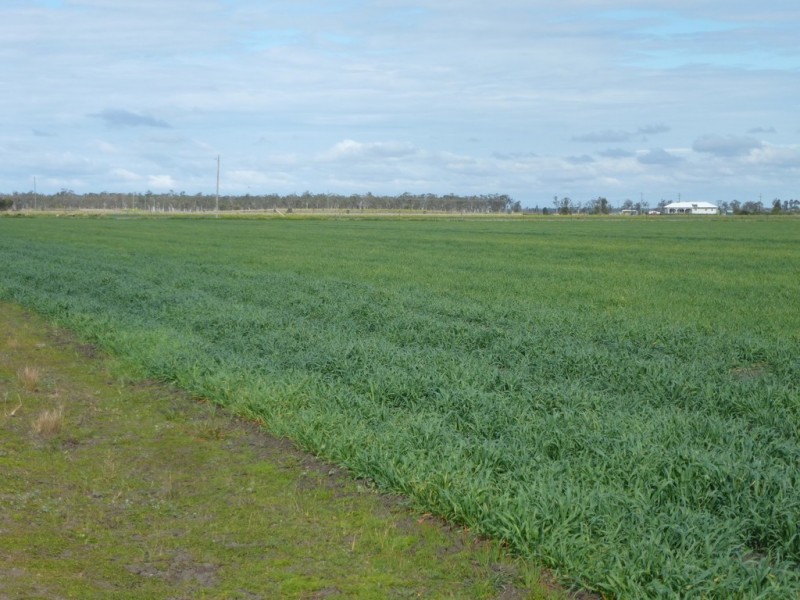 ” Bonview “, Dalby QLD 4405