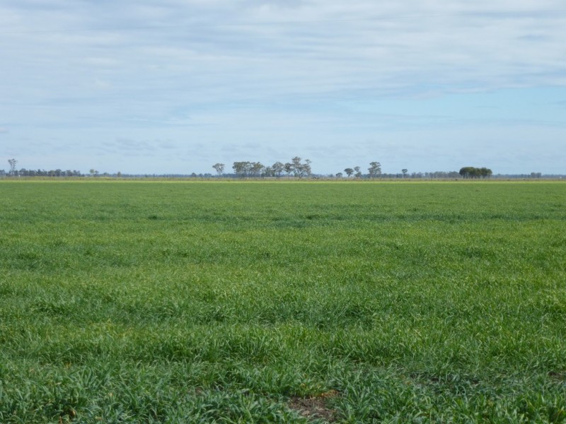 ” Bonview “, Dalby QLD 4405