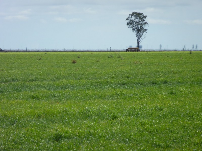 ” Bonview “, Dalby QLD 4405