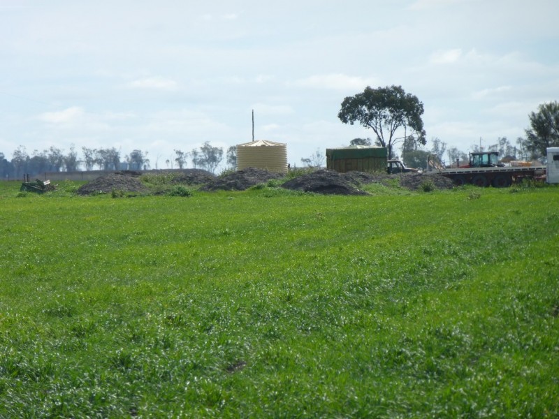 ” Bonview “, Dalby QLD 4405