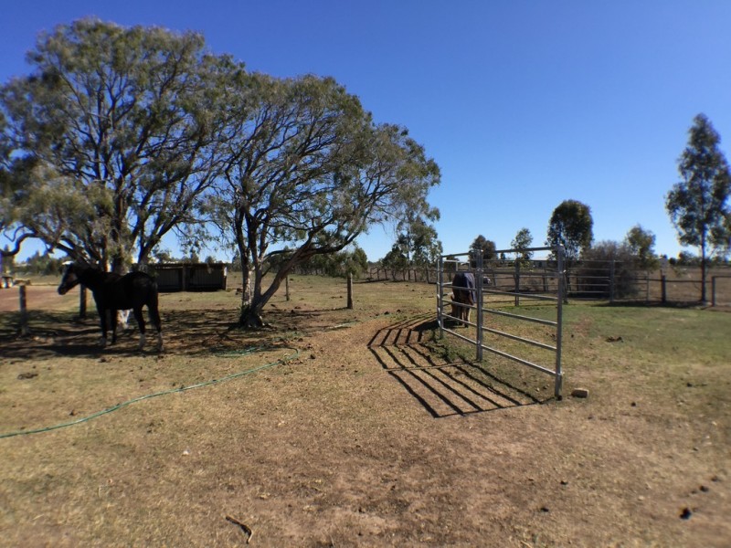 162 Branch Creek Rd, Dalby QLD 4405
