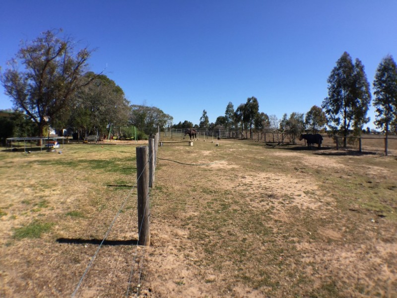 162 Branch Creek Rd, Dalby QLD 4405