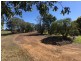 162 Branch Creek Rd, Dalby QLD 4405