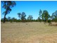 Kogan QLD 4406
