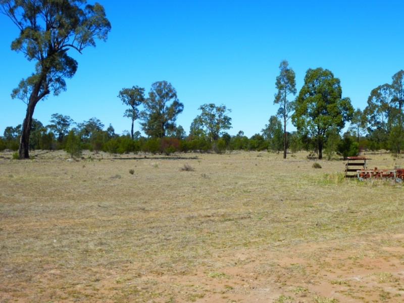 Kogan QLD 4406