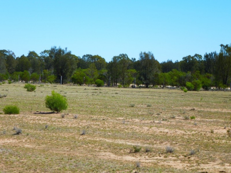 Kogan QLD 4406