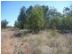 Lot 57 Paddys Creek Road, Miles QLD 4415