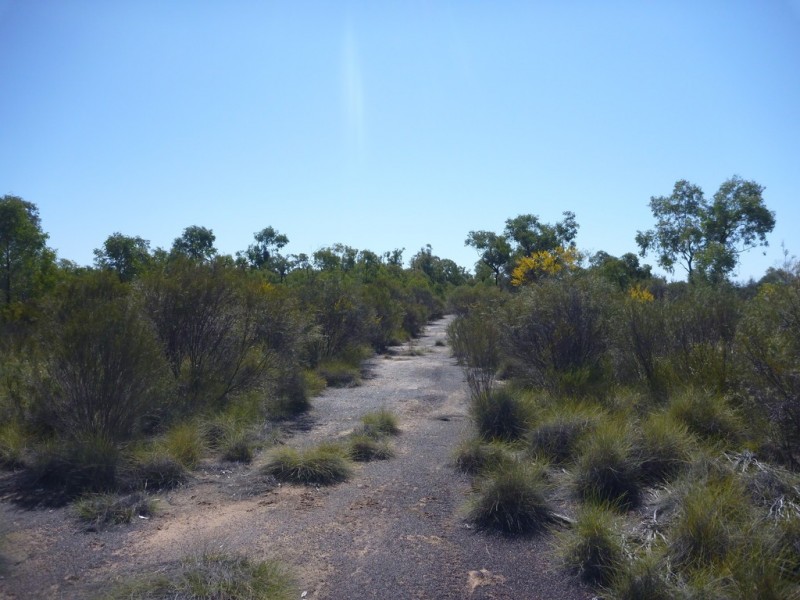 Lot 57 Paddys Creek Road, Miles QLD 4415