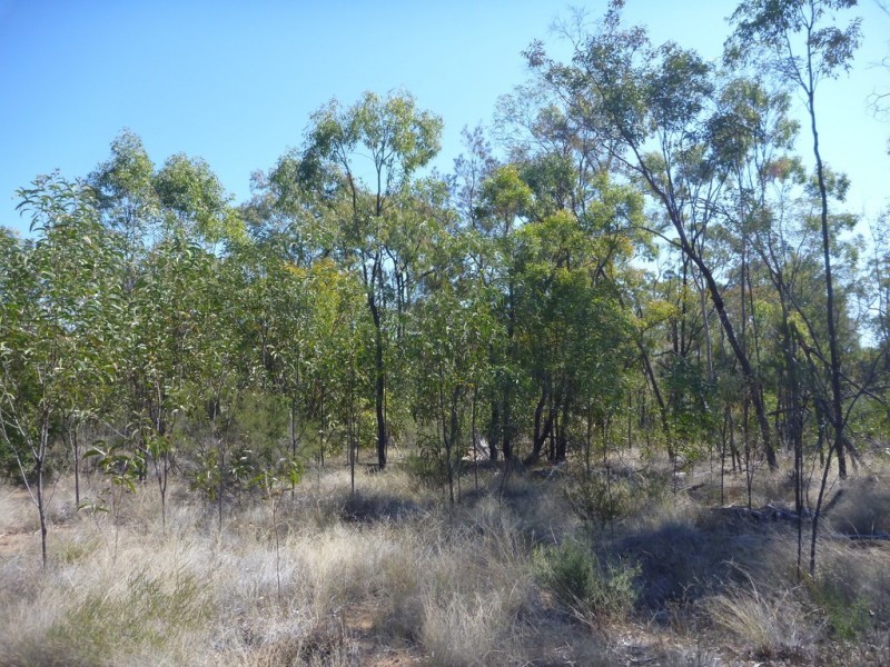 Lot 57 Paddys Creek Road, Miles QLD 4415