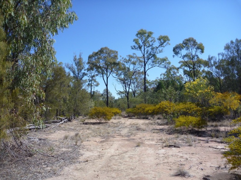 Lot 57 Paddys Creek Road, Miles QLD 4415