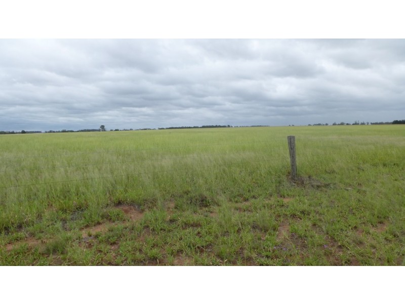 ” TAEMARIE “, Condamine QLD 4416