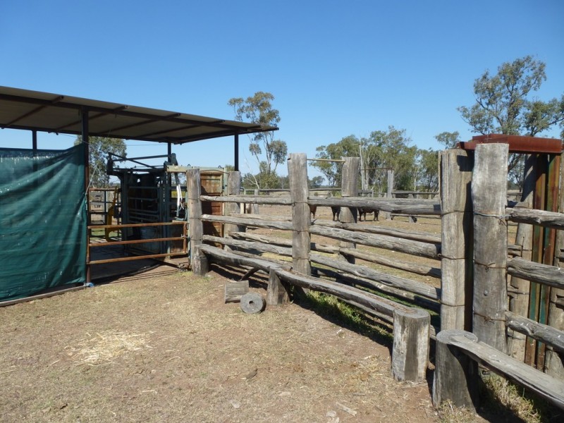 ” TAEMARIE “, Condamine QLD 4416