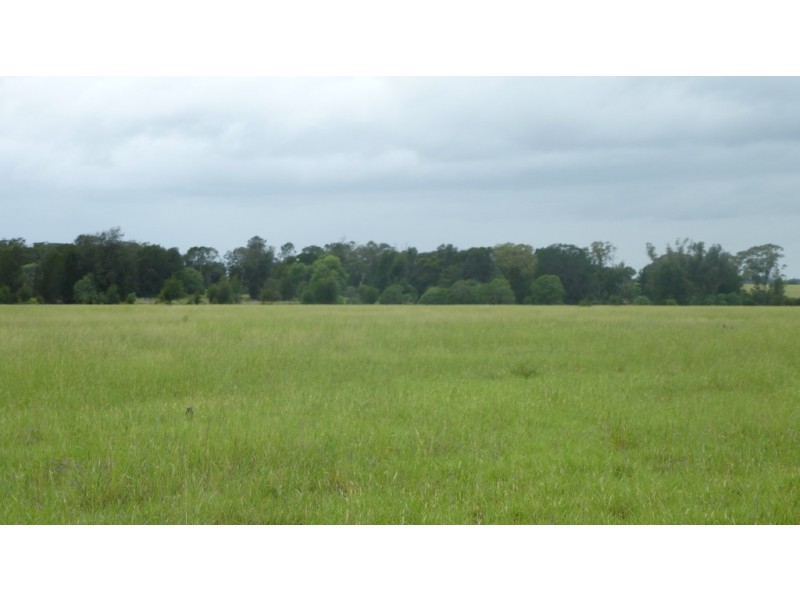 ” TAEMARIE “, Condamine QLD 4416