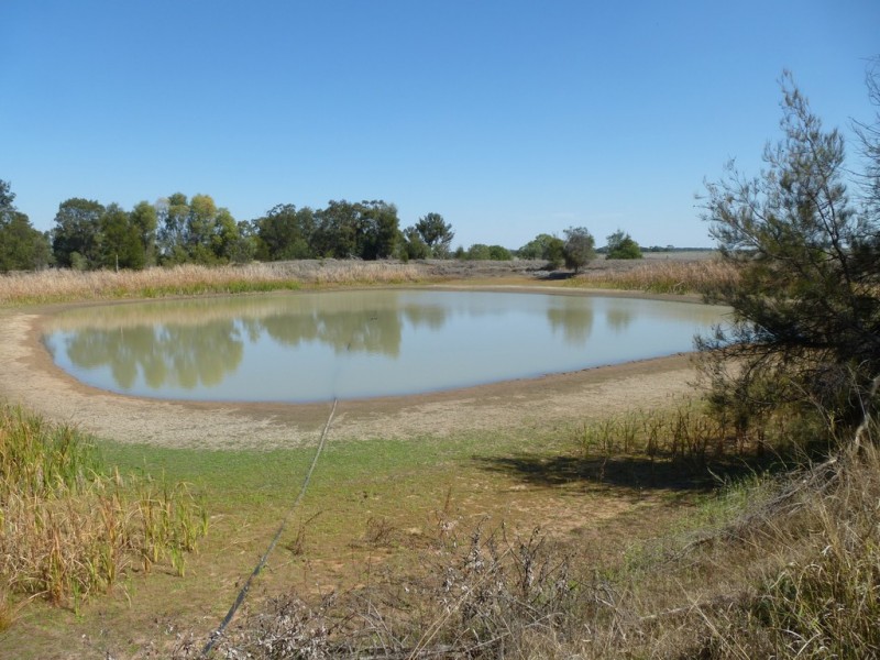 ” TAEMARIE “, Condamine QLD 4416