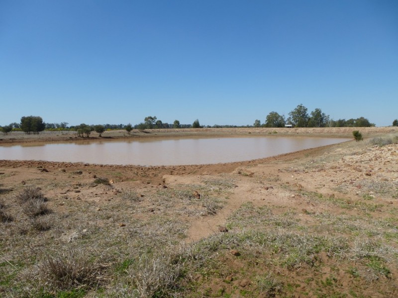 ” TAEMARIE “, Condamine QLD 4416
